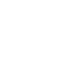 Logo Flyer Swiss