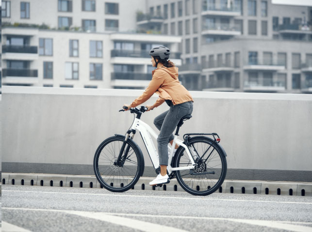 e-bike Speed afbeelding 1