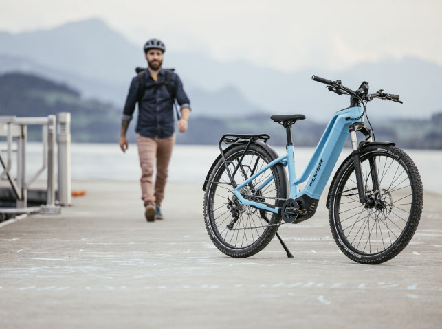 e-bike Tour afbeelding 1