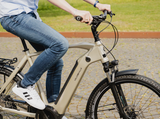 e-bike Tour afbeelding 4