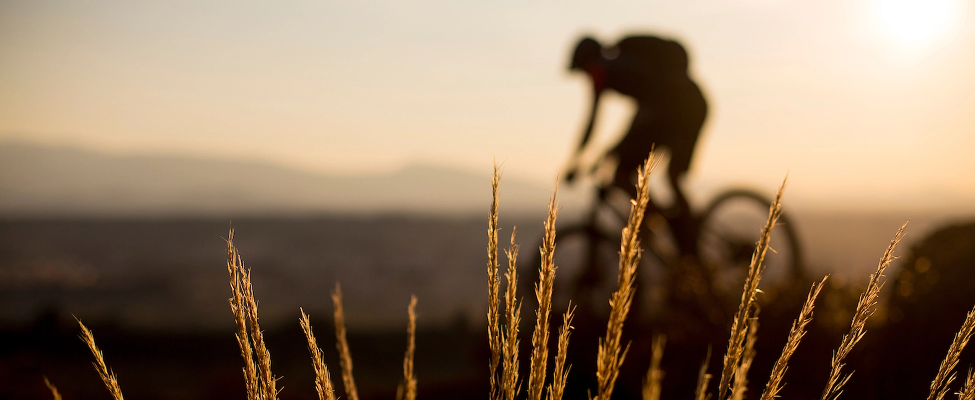 Header afbeelding Cycling Evers